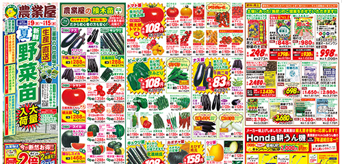 夏野菜苗大量入荷！接木苗、サツマイモ苗、生姜種、里芋種、用土・肥料、耕うん機など