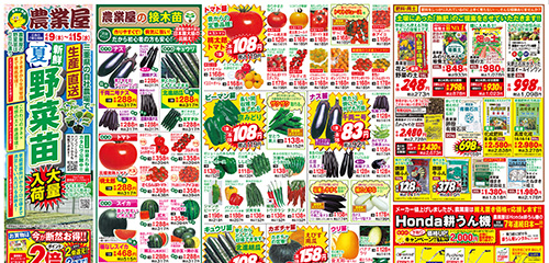 夏野菜苗大量入荷！接木苗、サツマイモ苗、生姜種、里芋種、用土・肥料、耕うん機など