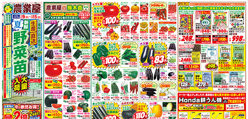 夏野菜苗大量入荷！接木苗、サツマイモ苗、生姜種、里芋種、用土・肥料、耕うん機など