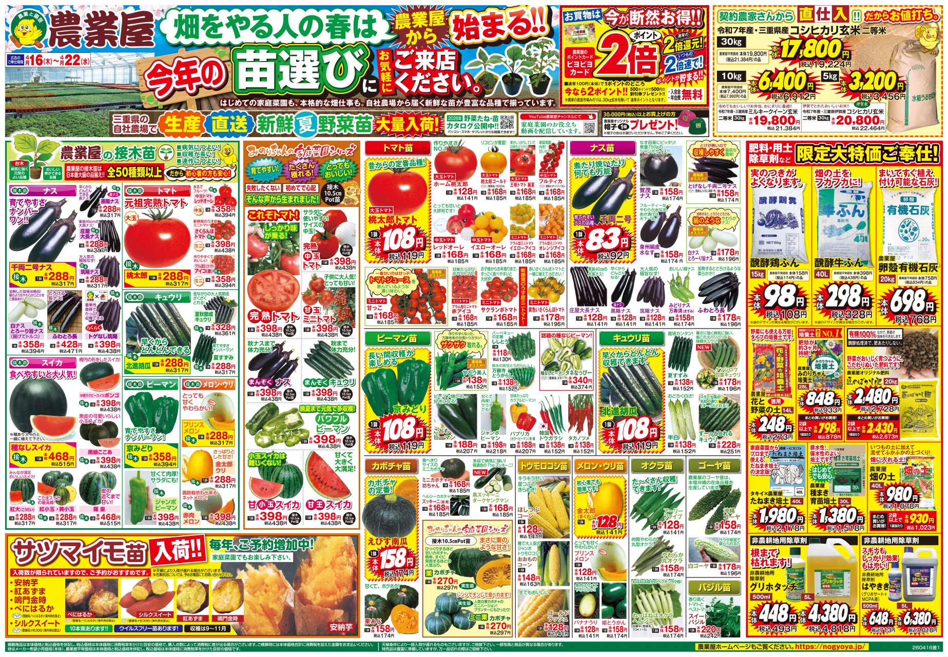 新鮮夏野菜苗大量入荷！接木苗、サツマイモ苗、用土・肥料・除草剤など限定大特価ご奉仕！