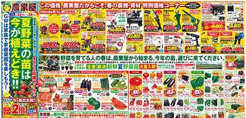 夏野菜苗は今が植えどき！！農機・資材特価品、夏野菜苗大量入荷！接木苗、サツマイモ苗など