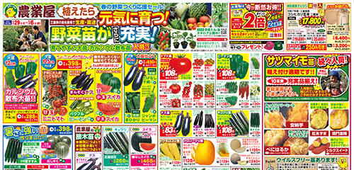春の野菜づくり応援セール！野菜苗がさらに充実！用土・肥料、サツマイモ苗続々入荷！
