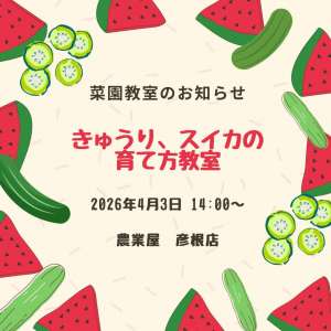 4/3(金)菜園教室のお知らせ🍉