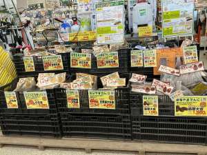 春の売り出しが始まりました！！