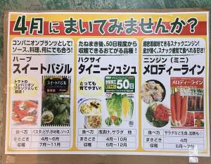 4月のオススメ種