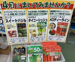 4月におすすめの種