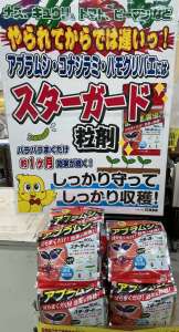 夏野菜に予防剤をお忘れなく