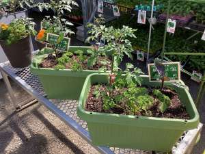 野菜づくり応援します！