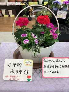 ４月１２日(日)寄せ植え教室のご案内