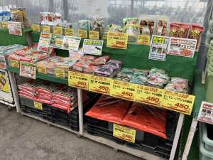 オススメ野菜の肥料‼️