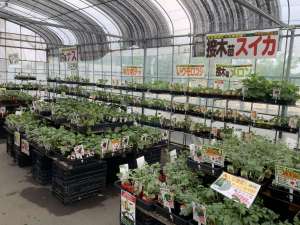 野菜づくり農業屋におまかせ‼️