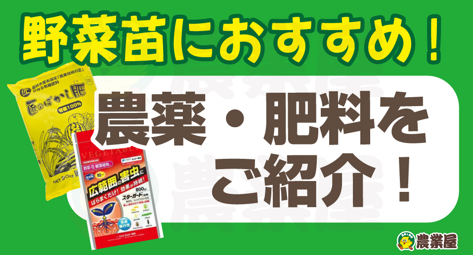 野菜苗におすすめ！肥料・殺虫剤をご紹介！
