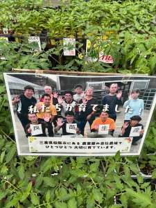 野菜苗次々と入荷中！！