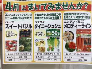 ４月にまけるオススメの種です♪