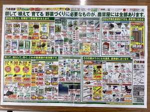 GWに家庭菜園をはじめてみませんか？