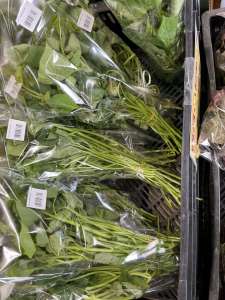 さつまいも苗販売中！