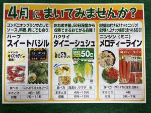 4月のオススメ種と苗の入荷予定