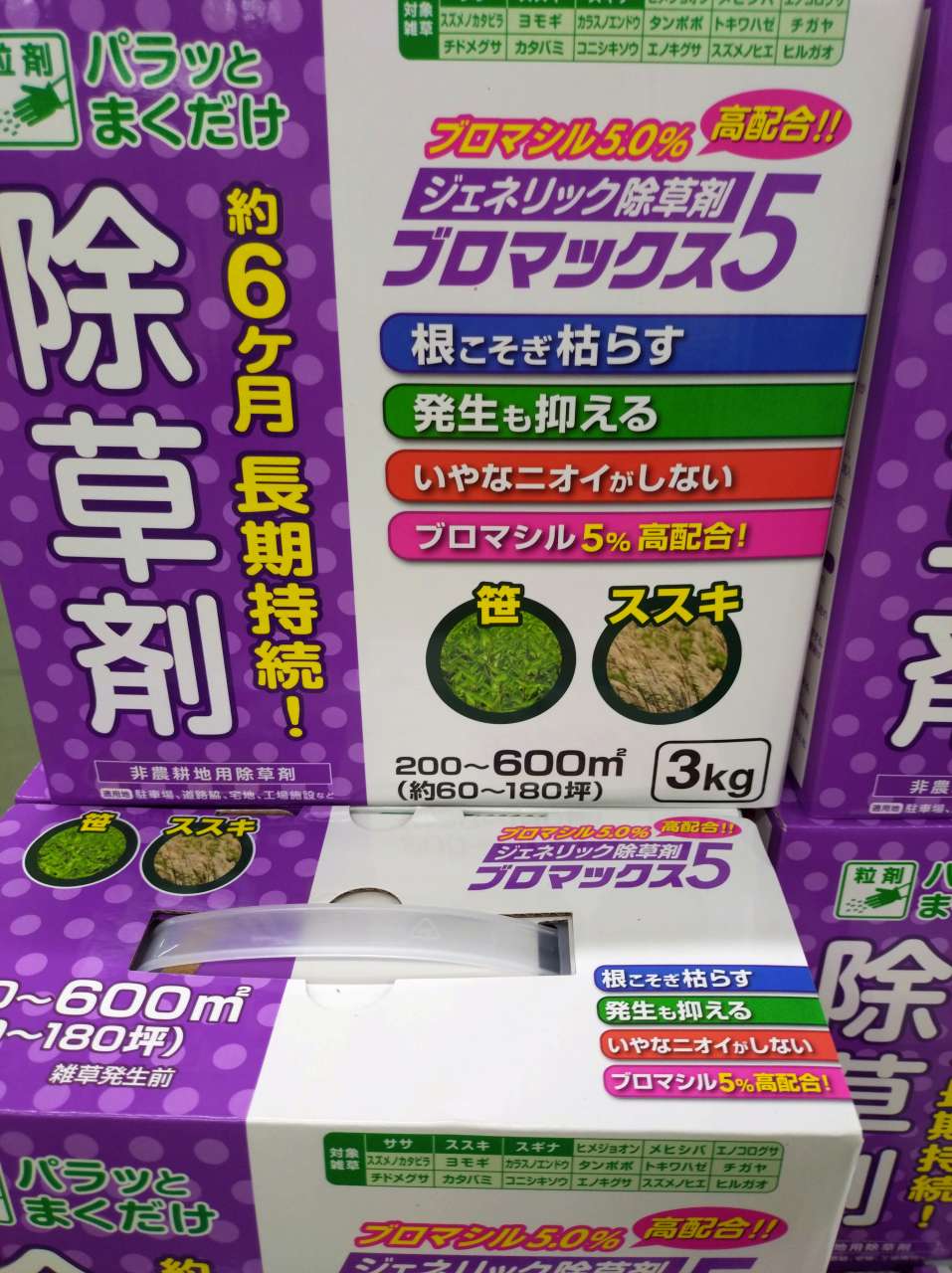 ブロマックス5