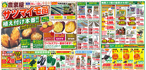 サツマイモ苗植え付け本番！新鮮夏野菜苗、猛暑対策資材、除草剤、草刈機など