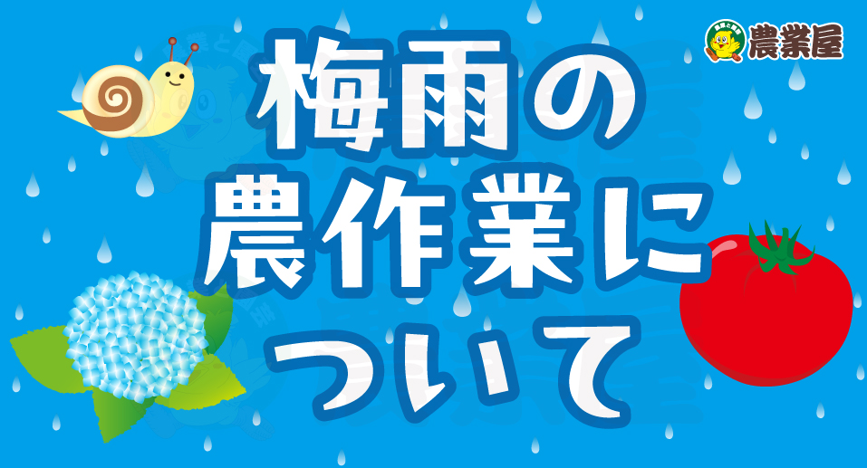 梅雨時期の農作業について