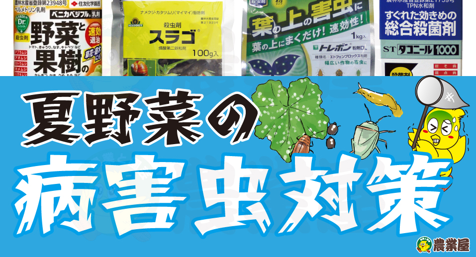 夏野菜の病害虫対策！