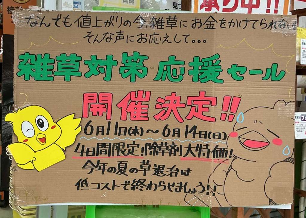 ✨🙌豊川店限定セール開催決定🙌✨