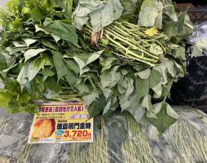 さつまいも植え付け時期です