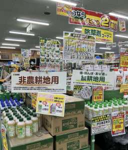雑草対策について！