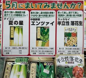 5月のオススメ野菜種🌱