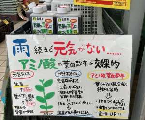 梅雨対策をお忘れなく