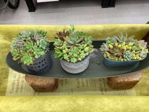 寄せ植え教室のご案内です♪