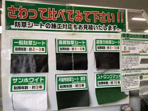 夏の雑草対策‼️