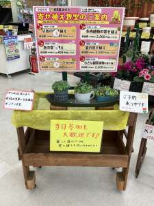 明日、５月２４日(日)菜園教室、有料寄せ植え教室開催日です‼️
