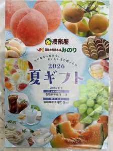 夏ギフト予約承ります