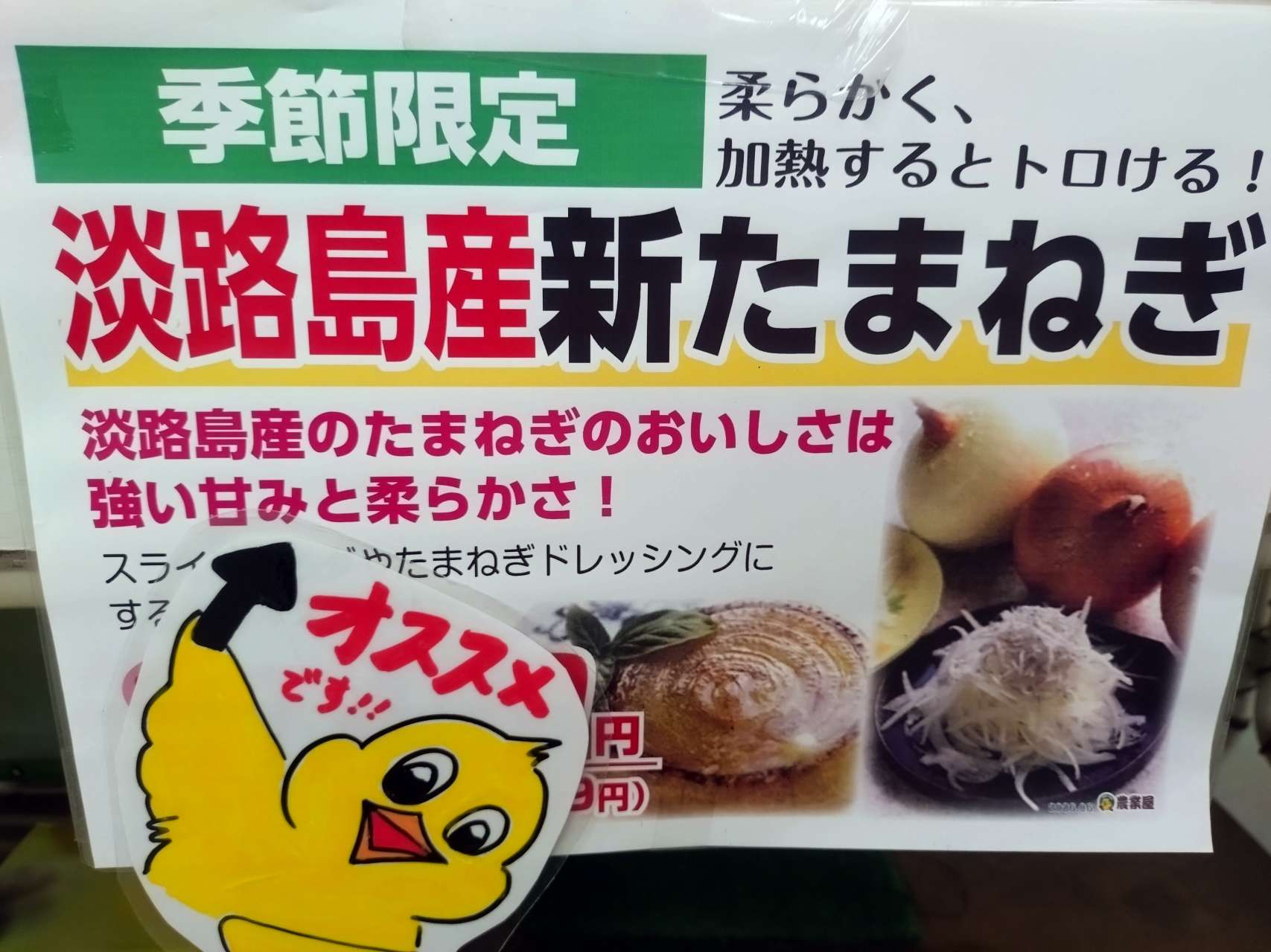 今だけの季節限定！ 淡路島産の新たまねぎが入荷しました🧅