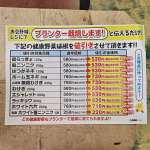 健康野菜販売中！！