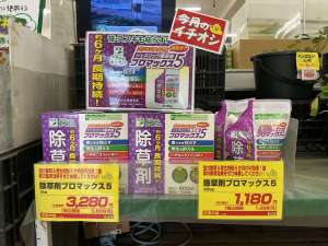 これからの時期に向けて　除草剤のご紹介