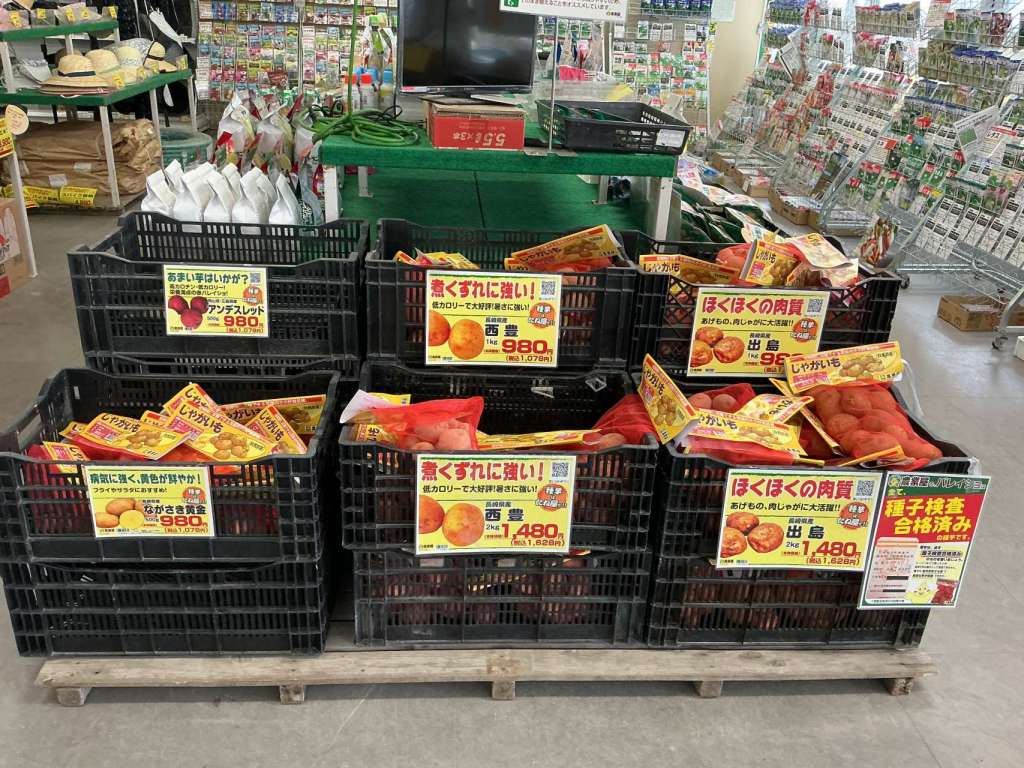 【今が植え時！】🥔秋ジャガイモ種を入荷しました！🥔