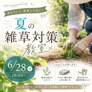 6/28(日)菜園教室のお知らせ