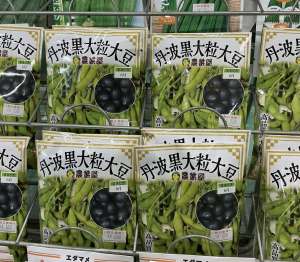 枝豆育てみませんか？