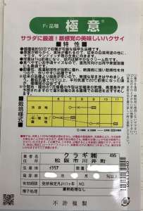 ハクサイの種、今からまけます