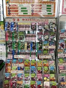 秋の花種続々入荷中！！