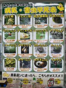病害虫🐛について