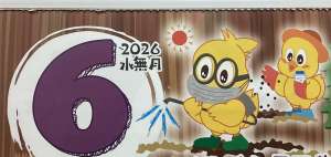 6月にまける種🌱のご紹介〜🫶