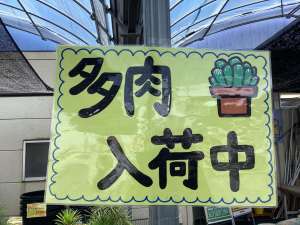 🌱🪴🌵お待たせしました〜🥳✨✴︎