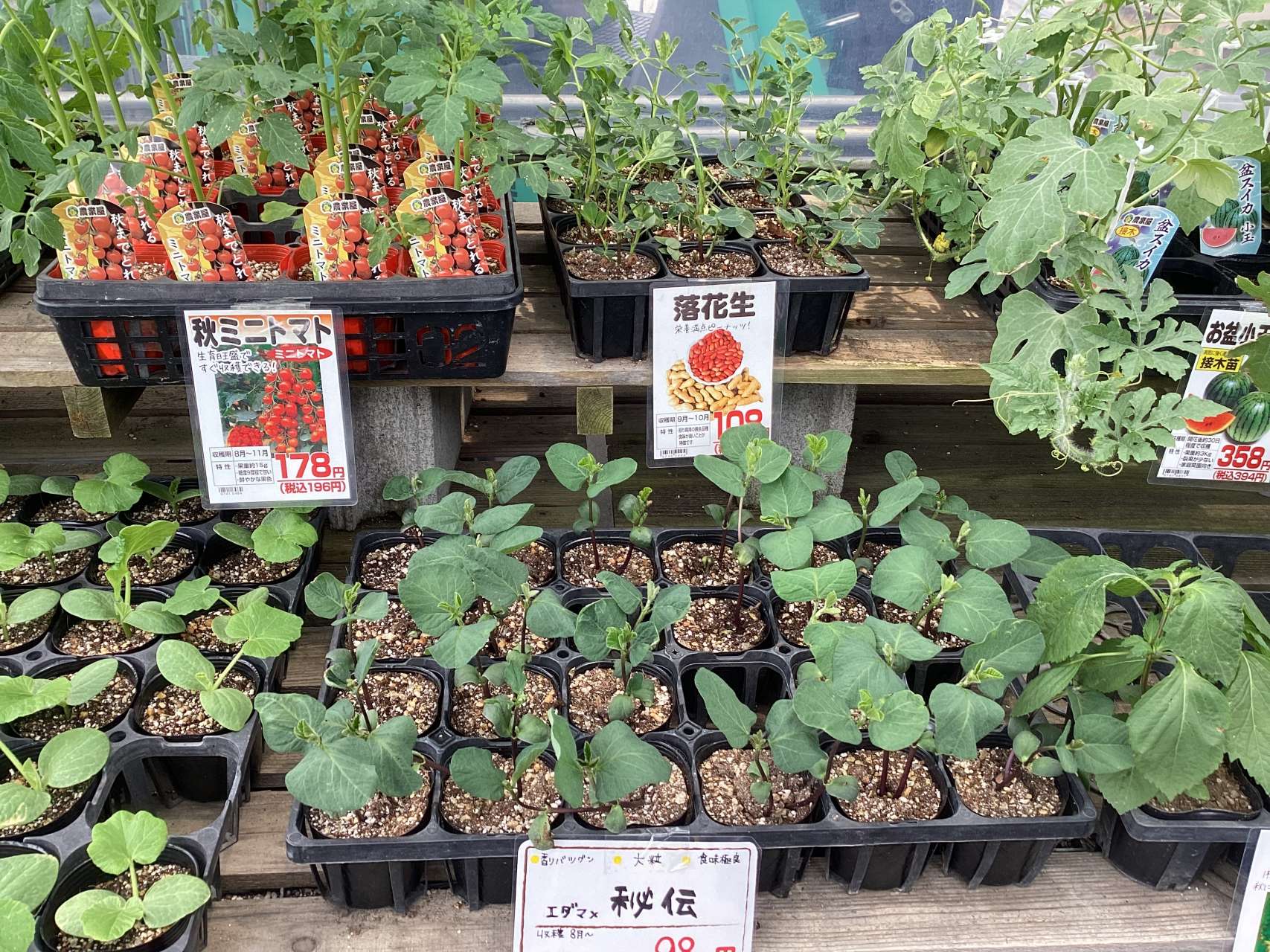 再入荷しました〜🎃