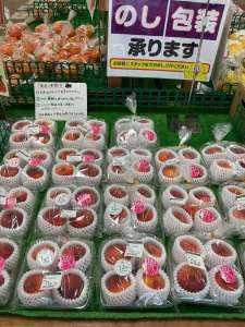 もも🍑初入荷‼️