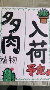 🌵🪴多肉植物入荷予定〜🗓️