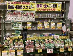 夏野菜の病気対策をしましょう