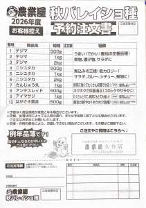秋バレイショ・健康野菜球根の予約受付中です！